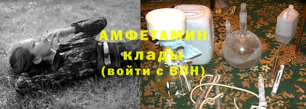 дурь Алексин