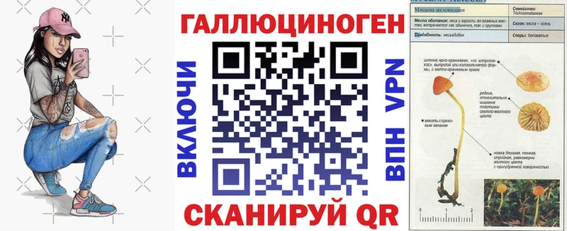 Галлюциногенные грибы Psilocybe  дарнет шоп  ОМГ ОМГ вход  Ардон 