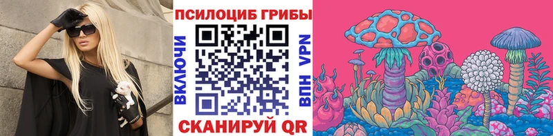 Псилоцибиновые грибы Psilocybe Ардон